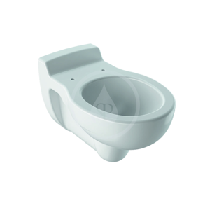 GEBERIT - Kind Závesné detské WC, 330 mm x 535 mm, biele - klozet (201700000)