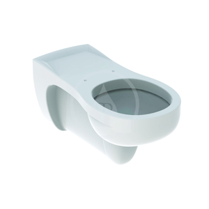 GEBERIT - Vitalis Závesné WC, 355 mm x 700 mm, biele - klozet (201500000)