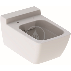 GEBERIT - Xeno 2 Závesné WC bez splachovacieho kruhu, 540 mm x 350 mm, biele 500.500.01.1